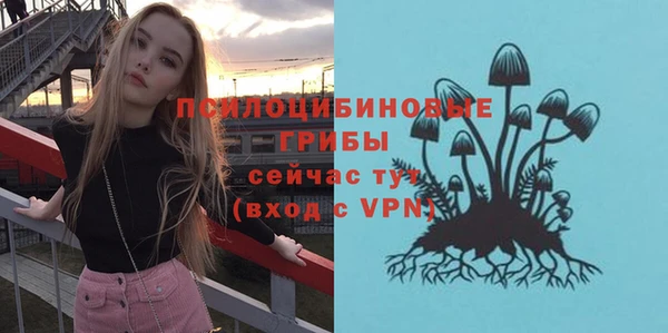ешки Алексин