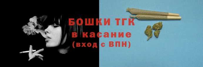 гашик Алексеевка