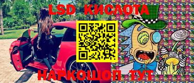 индика Канаш