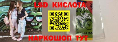 ГАЛЛЮЦИНОГЕННЫЕ ГРИБЫ Кандалакша
