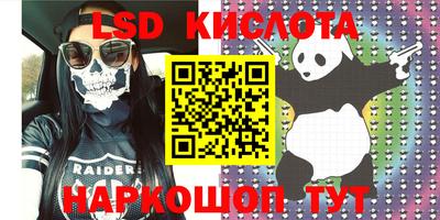 ГАЛЛЮЦИНОГЕННЫЕ ГРИБЫ Кандалакша