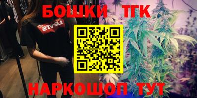 индика Канаш