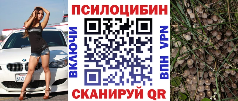 kraken как войти  Майкоп  Псилоцибиновые грибы мухоморы 