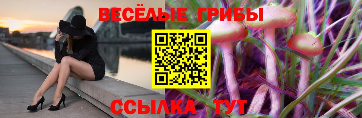 Майкоп  Галлюциногенные грибы GOLDEN TEACHER  Вход с VPN  Псилоцибиновые грибы Psilocybe 